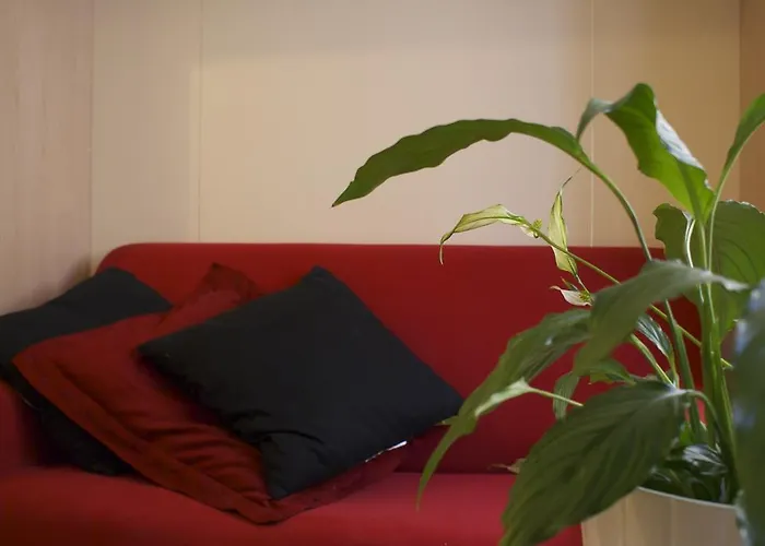 Olly Apartments
